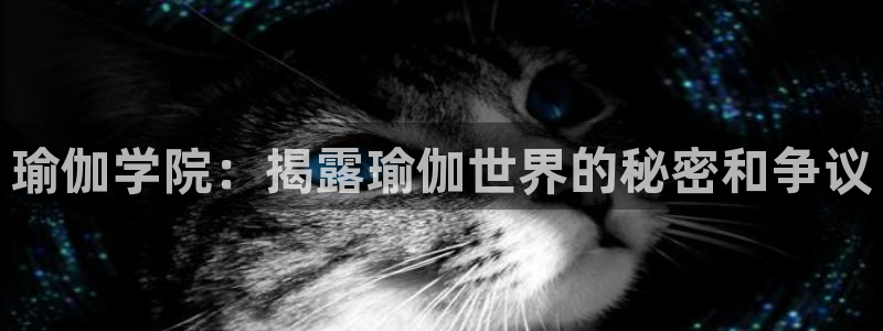 欧洲杯指定投注网站