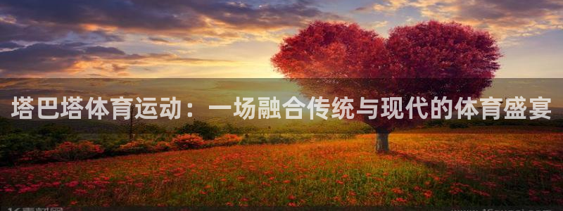 3377体育中国官方网站入口