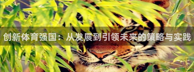 3377体育全网